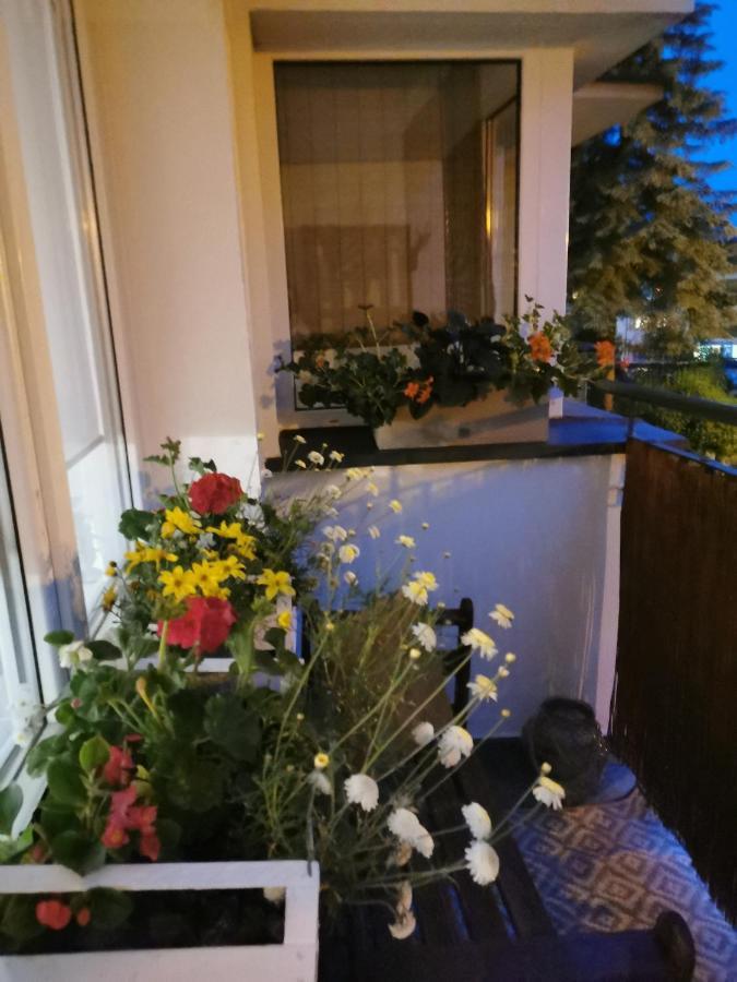 Apartment Sobieski Sanok