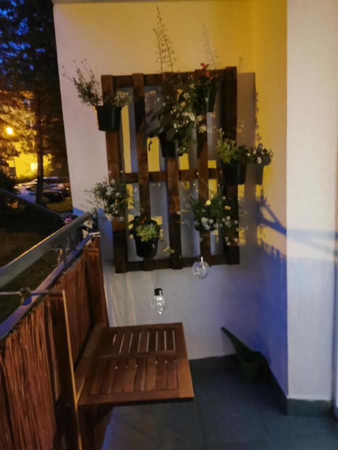 Sobieski Apartment Sanok